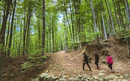 14.1 amiata-maggio-hotel-fabbrini-17