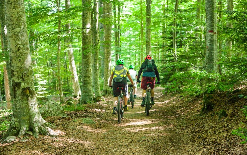 7.1 Bike-Monte-Amiata-Toscana-_MG_3478